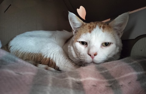 FADA8960-6321-4284-B8E3-51A7E57163EA