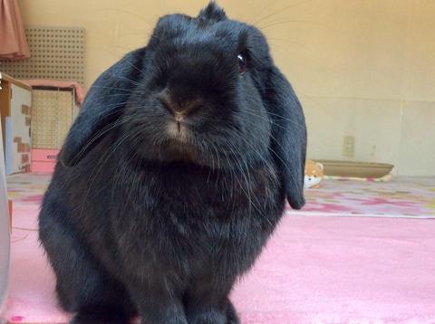 C26ED7F3-00CE-41EA-BD8D-A831194AB9D8