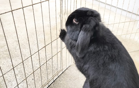 8721F987-32B9-4DA9-8457-E67E5FA6E1DB