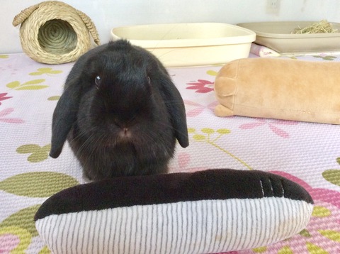 009E4A78-8A1D-4A2A-9596-17A8E078E958