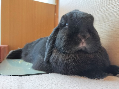 FA411CC1-6E7E-45ED-A495-0AC23E2EC67F