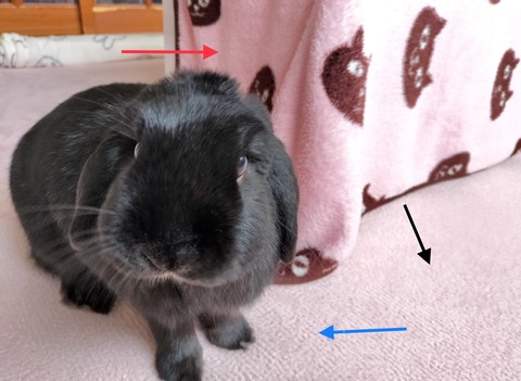 5020B4FC-C645-4E3E-8189-FABCC9B2D994