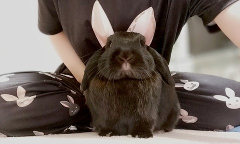 3F17A84C-89C7-4EBA-981A-491622DF239F