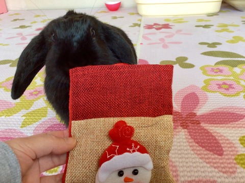 57B66284-BD28-4F3B-99D3-24A42505BCB2