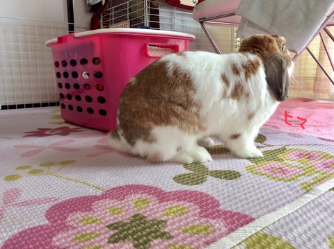 7ED7CDB5-6189-4485-8A4E-8CABC335CBC6