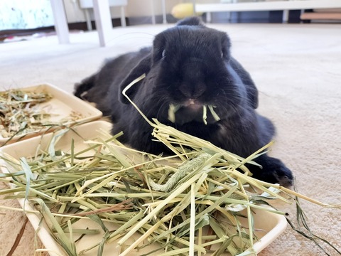 9CBA836D-A090-4D30-B683-9CFD822FC64A