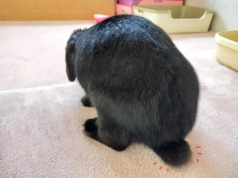 E1B5F5B7-685B-4DA1-9DC4-9AC0C3262CF6