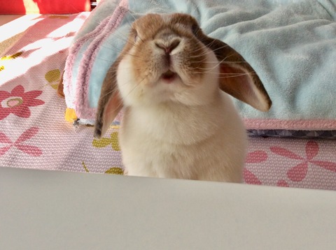 26A0B410-5FF2-4319-82C6-35EDB15DA094