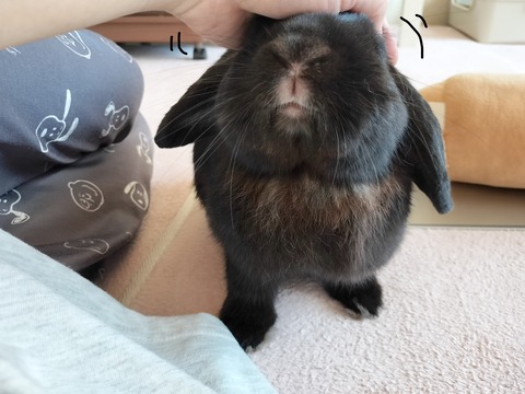 5B813387-C7A8-45B3-BB2A-6B561C1081B0