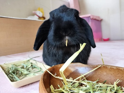 6D98CAC7-9B14-4D59-8905-C5F2B23E55F7