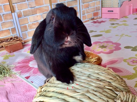 75F1C6F5-98C8-476B-8327-7FDC4231FA1D