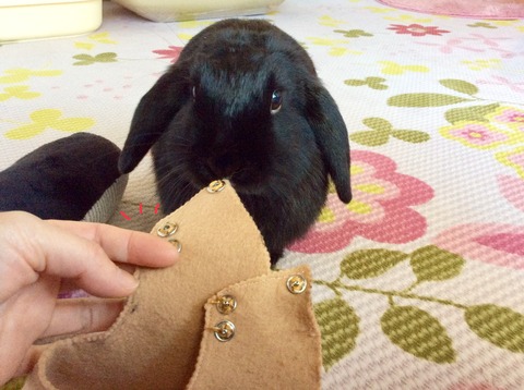 B86849FB-AA67-415D-8609-1B35DC482747