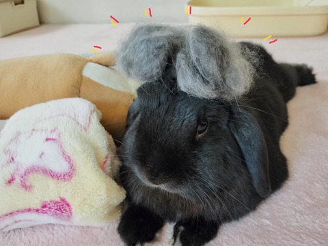 18697F7E-3C80-46E4-973C-8BF66A969645