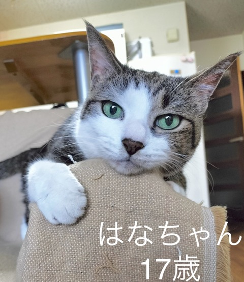 AC3A1605-580A-44A8-B274-DDA4FA7F7D3F