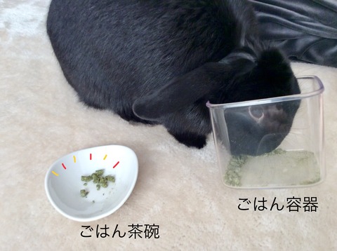 26E7E5D2-04B0-4E04-8C0E-2B3F21DE86B2