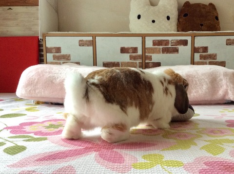 800E6457-9667-4CC4-8F28-792703A3AF8D