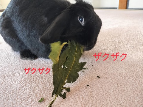 E1A07A00-A3BB-4177-88A1-2D3C51563D3C