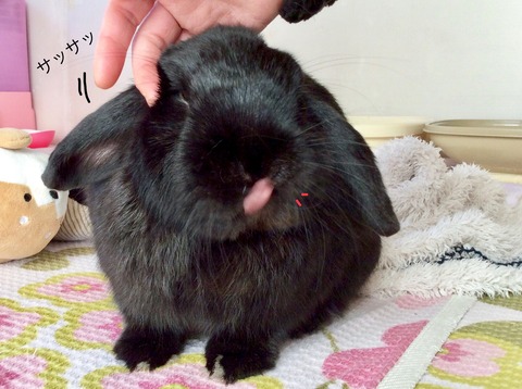 D4130EF8-3A17-44D3-B0D4-37A60914F4CE