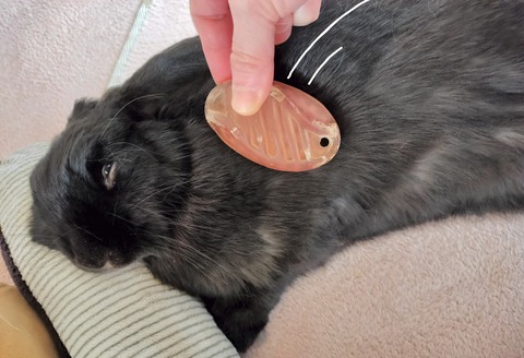 1A4C918D-5E29-42BC-81CF-F8AF6B19AF82