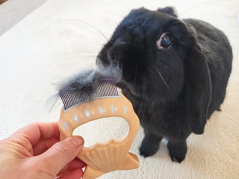 680CD0E5-1255-4CB5-8C63-6CCD337E530D