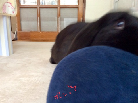 C43A8C18-5D65-4B24-9A76-8DDC9831880C