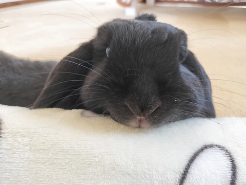 C31C012E-69FC-401C-8908-C843EDDF15F6