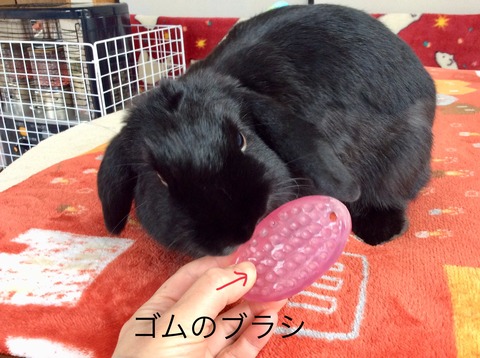 C3DB810F-EE40-4C65-AFB4-B5A5C705E8B3