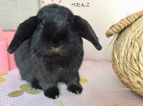 A059D51A-DBD1-487A-A0E8-72528F01827F