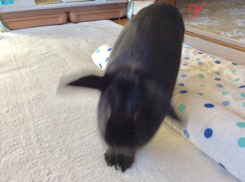 1978D5D4-8EEB-4039-AC28-28A85395158A