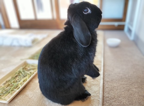 218E5F6D-E6A6-40ED-8C58-E28E09D5106E