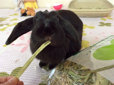 585CBA12-D013-42E0-ABEB-1AE23ED38297