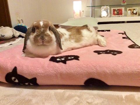 83F69030-E908-45AF-AC1D-2C4C1BA583DC