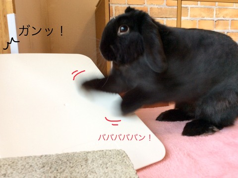 3A41BC35-23DE-47E4-B9E9-FAE25877A052