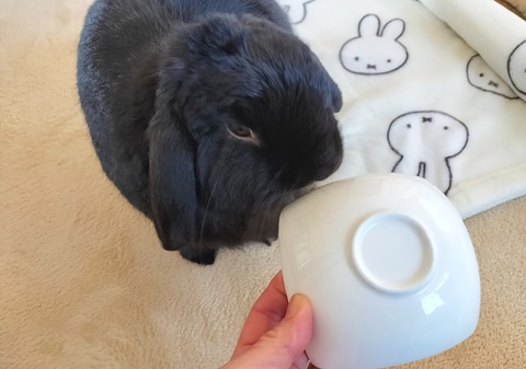 ACF458B7-D031-4076-9F9C-DEF6DBEE1F94