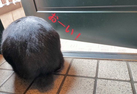 AFD55D63-0038-4FAD-92ED-C0FAC8E6E39B