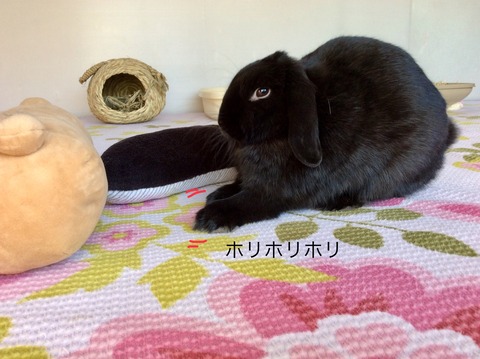 27EECDD4-3CBC-4AC4-A809-886E8434FBB1