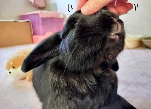 1817777D-1363-4BA3-B1BF-B217BC26FC08