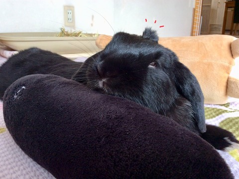 F47E9581-D019-48AE-92CB-D167422ECB33