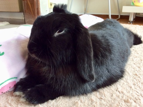 C47070F0-553B-43B4-89C1-C6001075825F