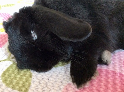 626DCC64-BAE3-48C7-B4CC-A8B8280A9EAC