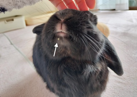 8EEC4530-1810-455E-9521-685AFA3C4732