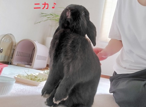 3150EF52-0A5E-4D02-9A2A-5041CE2260C5