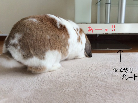 1D68E348-FA52-48D2-B814-C26A83BA2FA5