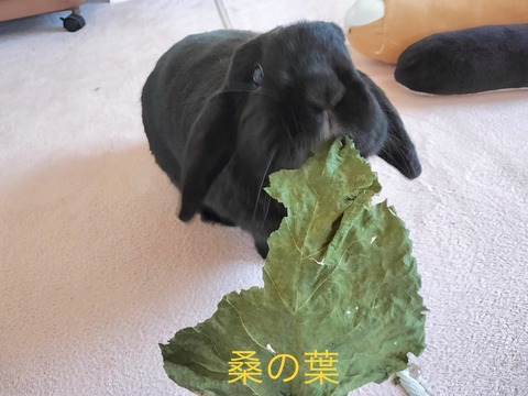 D1548AD7-BE40-41D0-9713-C43E0860165D