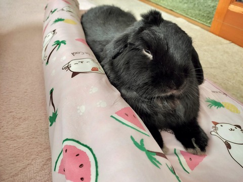 C5C8A31A-D6DF-4CBC-A7AD-79D0C56D0867