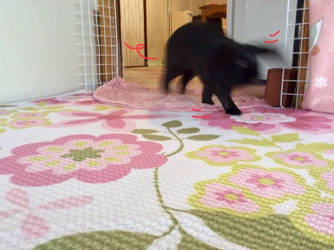 CD62C06C-F287-4153-A581-A35058CA759F