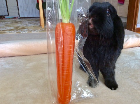 E4AF48D4-D782-423B-9877-8389ECFD7DA6