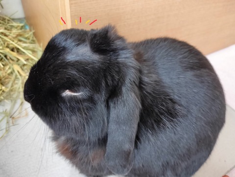 DA963D2E-B485-4A68-BDEA-8D03D30EF69D