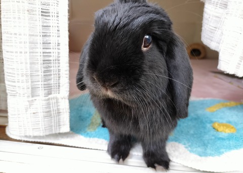 2F501390-FE03-4279-A750-2F81D789E906