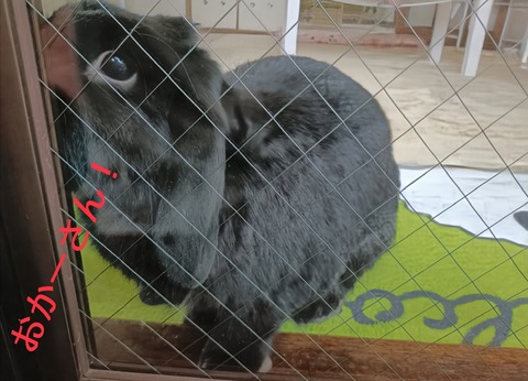 23590577-90B7-42D9-8E44-1F5EA1A80D3D